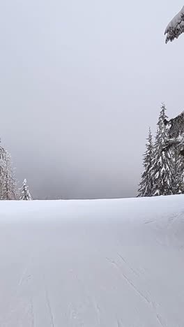 Vertical-Video-Of-Ski-Run-Between-Snow-Covered-Trees